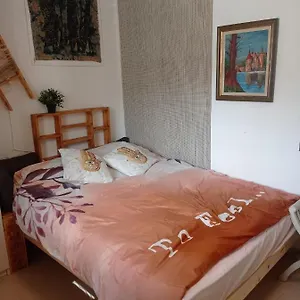 https://new-great-location-vibrant-downtown-wadi-salib-flee.gethaifahotels.com